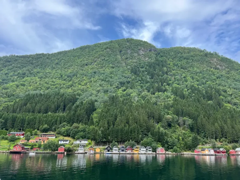 Paysage fjord en Norvège